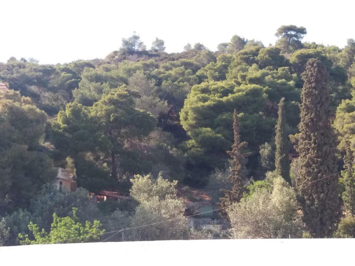Forest & Sea Apartment Poros Town Zewnętrze zdjęcie