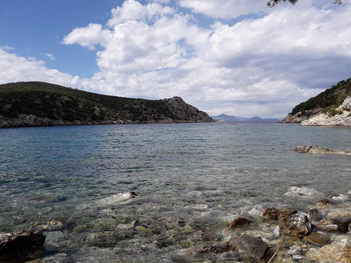 Forest & Sea Apartment Poros Town Zewnętrze zdjęcie